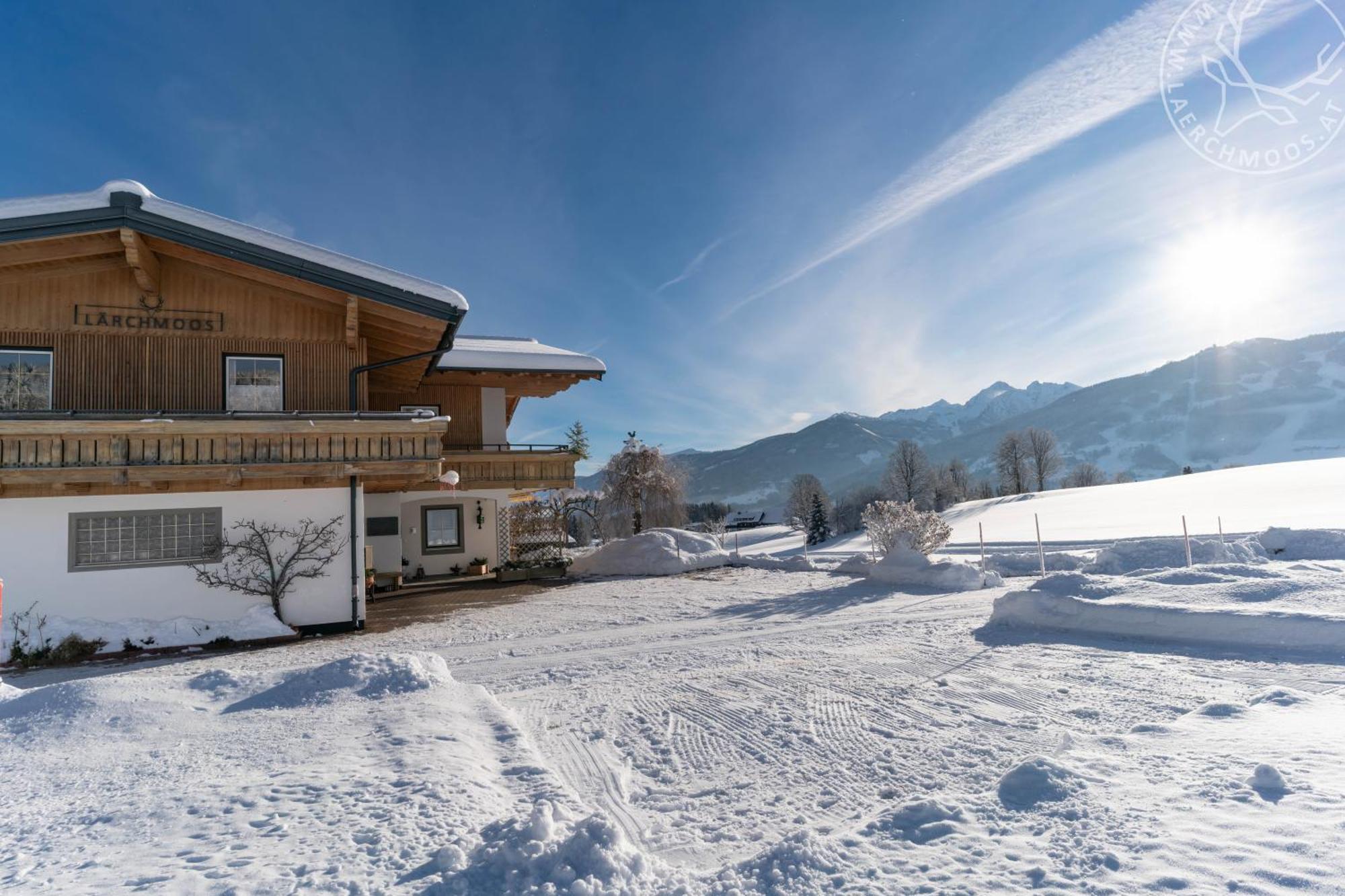 Appartements Laerchmoos Ramsau am Dachstein Zewnętrze zdjęcie