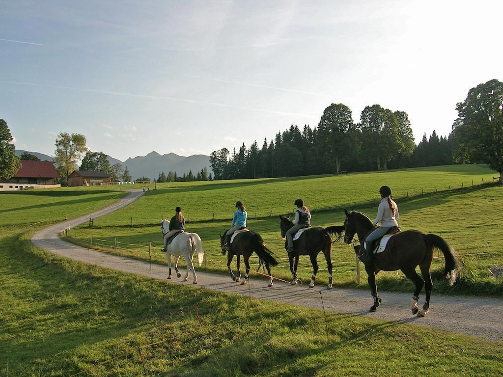 Appartements Laerchmoos Ramsau am Dachstein Zewnętrze zdjęcie