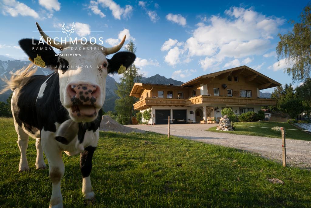 Appartements Laerchmoos Ramsau am Dachstein Zewnętrze zdjęcie